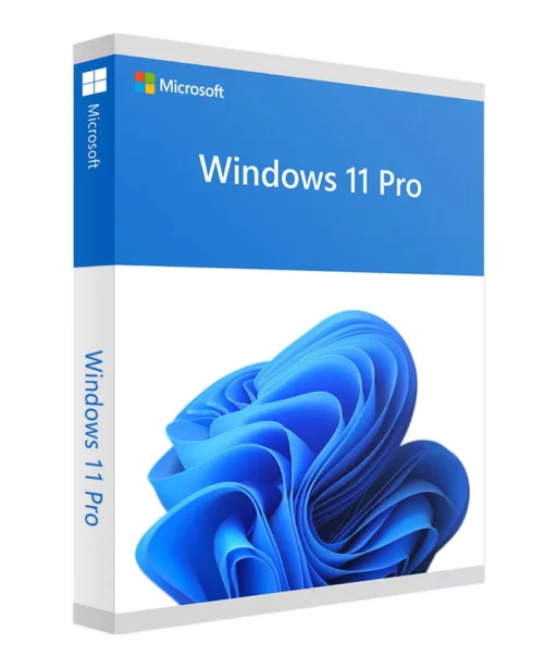 Boîte de Windows 11 Professionnel, design bleu abstrait avec logo Windows et texte visible "Windows 11 Pro" en façade.