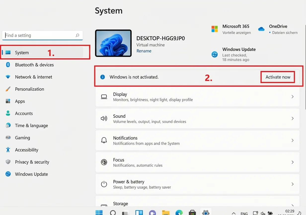 Windows 11