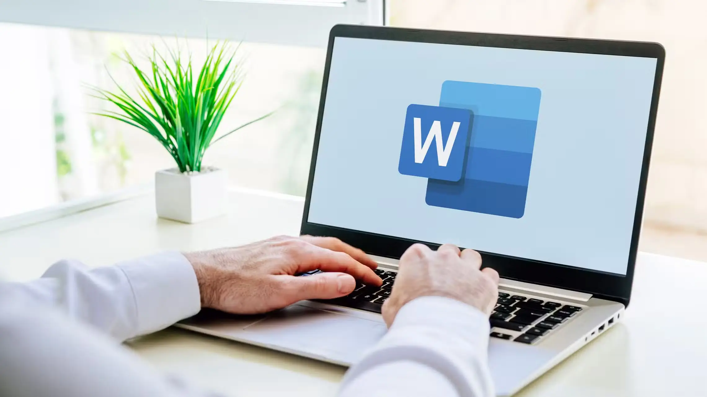 Personne tapant sur un ordinateur portable affichant les logos Office 2024 Standard pour MAC et Word, près d'une plante en pot à la fenêtre.
